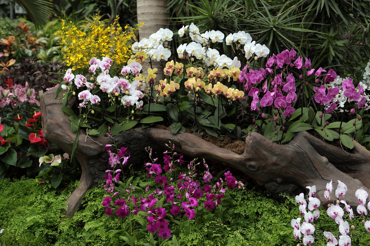 EOS 5D Mark II16_04_20135002.JPG